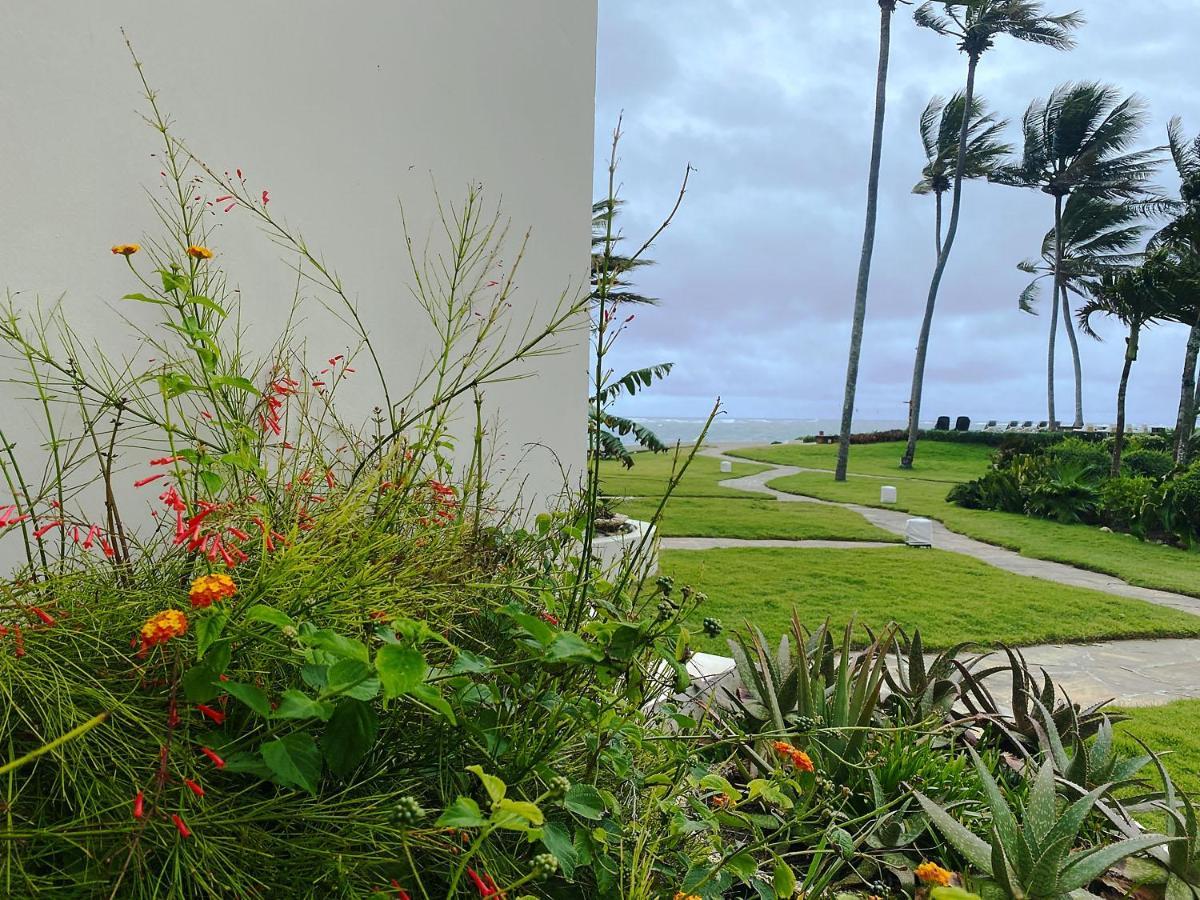 Cabarete Beachfront Condos At Nanny Estate C-5 Extérieur photo